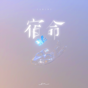 双飞儿媳妇和她闺蜜免费阅读
